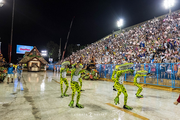 1319_Desfile Viradouro 2019_Fotógrafos Renata Xavier e Leandro Lucas