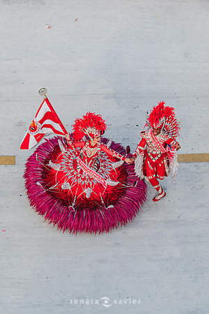 2960_Desfile das Campeãs Viradouro 2024_Renata Xavier Fotografia_DSC_9845_PB