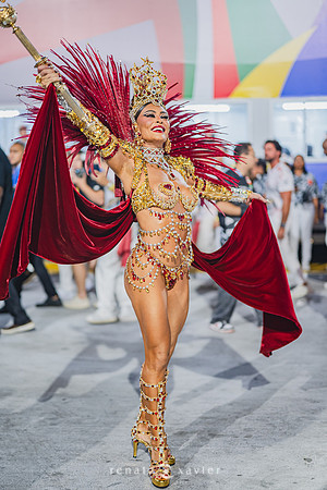 Desfile Viradouro 2026_Renata Xavier Fotografia_ZFR_2793
