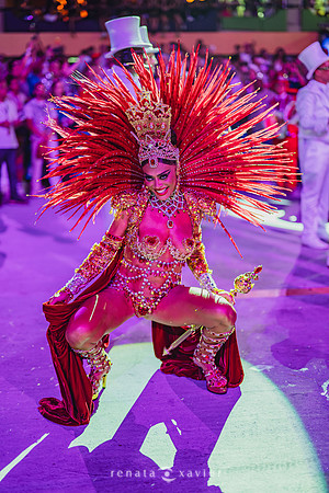 Desfile Viradouro 2026_Renata Xavier Fotografia_ZFR_2929