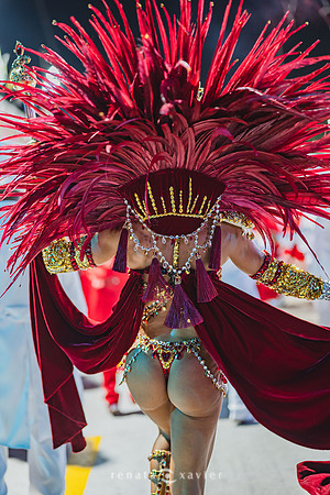 Desfile Viradouro 2026_Renata Xavier Fotografia_ZFR_2964