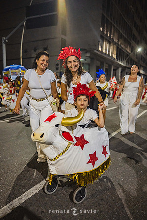 0036_Desfile Viradouro em Niterói_Renata Xavier Fotografia_Z7N_3324