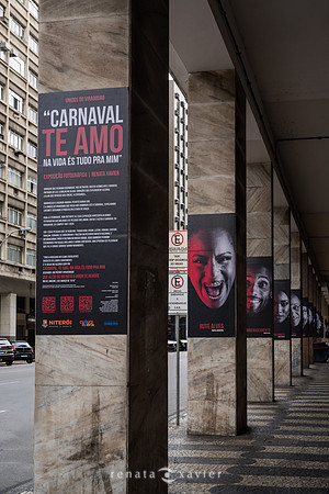0009_Exposição Carnaval Te Amo_Viradouro_Renata Xavier Fotografia_DSC_4364