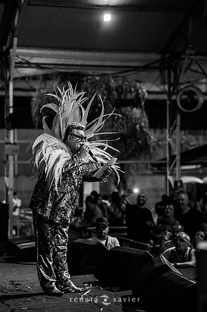 0069_Desfile Viradouro Cidade do Samba_Renata Xavier Fotografia_DSC_1893