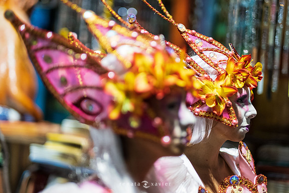 0042_Desfile Viradouro 2019_Fotógrafos Renata Xavier e Leandro Lucas