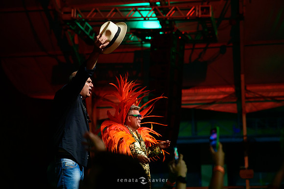 0050_Desfile Viradouro Cidade do Samba_Renata Xavier Fotografia_DSC_1869