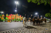 0010_Desfile das Campeãs Viradouro 2024_Renata Xavier Fotografia_Z7N_8277_PB