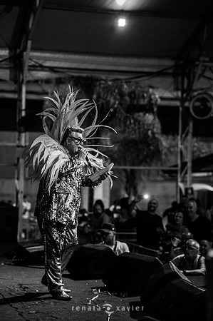 0067_Desfile Viradouro Cidade do Samba_Renata Xavier Fotografia_DSC_1892