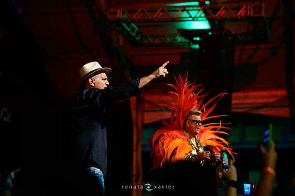 0048_Desfile Viradouro Cidade do Samba_Renata Xavier Fotografia_DSC_1868