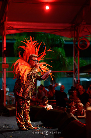 0070_Desfile Viradouro Cidade do Samba_Renata Xavier Fotografia_DSC_1893