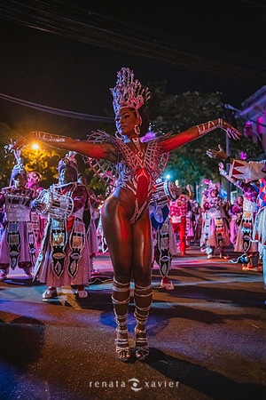 0146_Desfile Viradouro Campeã Amaral Peixoto_Renata Xavier Fotografia_Z7N_7086