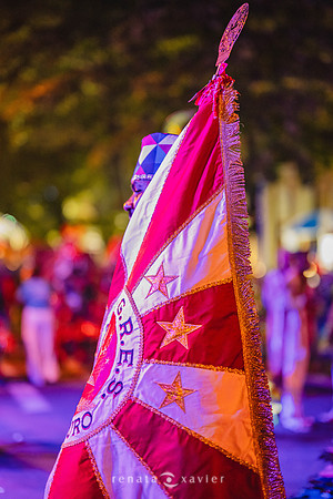 0192_Desfile Viradouro Campeã Amaral Peixoto_Renata Xavier Fotografia_DSC_2355