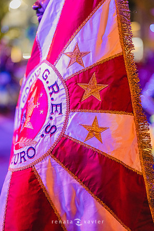 0193_Desfile Viradouro Campeã Amaral Peixoto_Renata Xavier Fotografia_DSC_2356