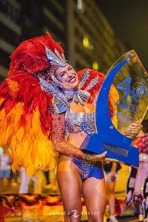 0303_Desfile Viradouro Campeã Amaral Peixoto_Renata Xavier Fotografia_DSC_2428