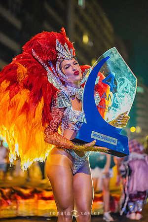 0310_Desfile Viradouro Campeã Amaral Peixoto_Renata Xavier Fotografia_DSC_2435