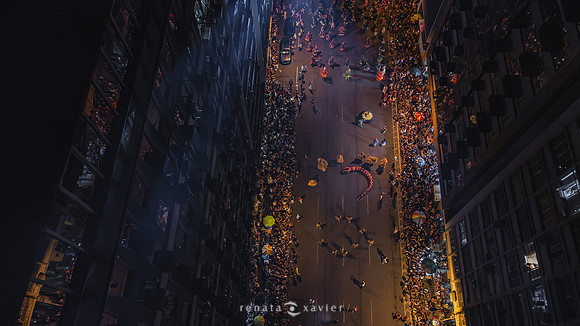 0344_Desfile Viradouro Campeã Amaral Peixoto_Renata Xavier Fotografia_DJI_0146