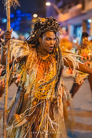 0379_Desfile Viradouro Campeã Amaral Peixoto_Renata Xavier Fotografia_DSC_2476