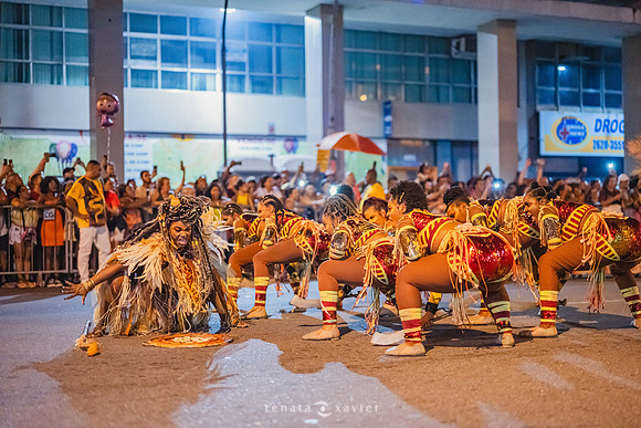 0390_Desfile Viradouro Campeã Amaral Peixoto_Renata Xavier Fotografia_DSC_2486