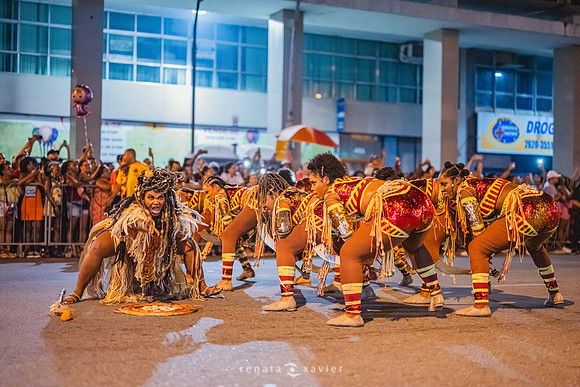 0393_Desfile Viradouro Campeã Amaral Peixoto_Renata Xavier Fotografia_DSC_2491