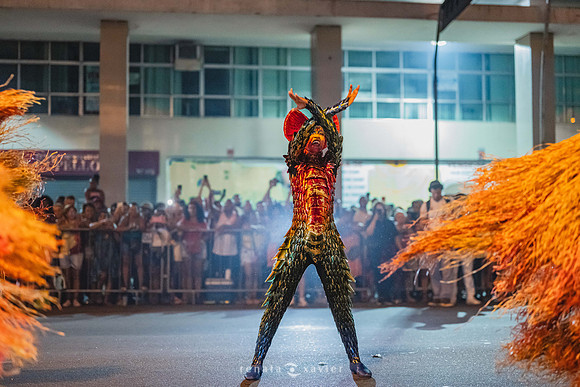 0418_Desfile Viradouro Campeã Amaral Peixoto_Renata Xavier Fotografia_DSC_2515
