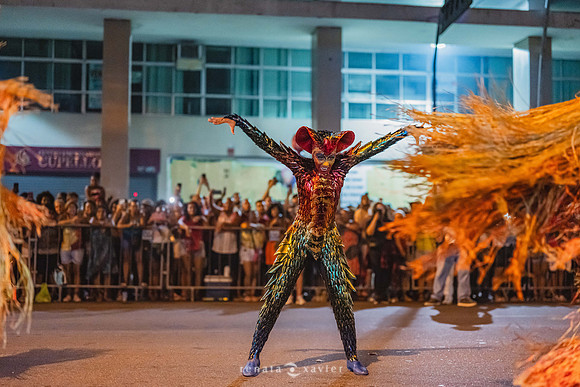 0420_Desfile Viradouro Campeã Amaral Peixoto_Renata Xavier Fotografia_DSC_2517