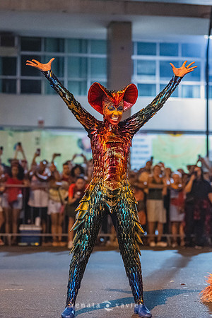 0426_Desfile Viradouro Campeã Amaral Peixoto_Renata Xavier Fotografia_DSC_2525