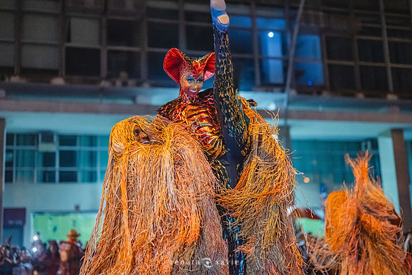 0427_Desfile Viradouro Campeã Amaral Peixoto_Renata Xavier Fotografia_DSC_2529
