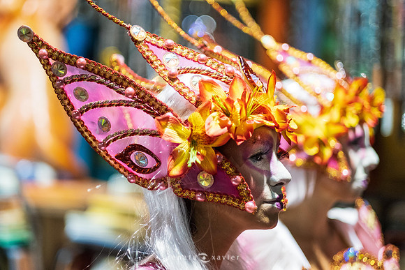 0044_Desfile Viradouro 2019_Fotógrafos Renata Xavier e Leandro Lucas