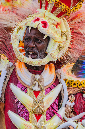 1757_Desfile das Campeãs Viradouro 2024_Renata Xavier Fotografia_DSC_8778_PB