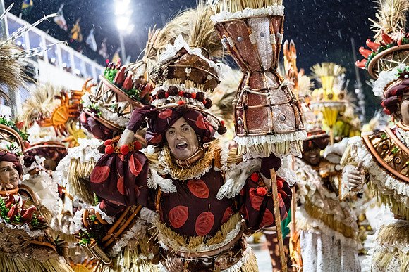0226_Desfile das Campeãs_Viradouro_Fotógrafos Renata Xavier e Leandro Lucas_LE027999