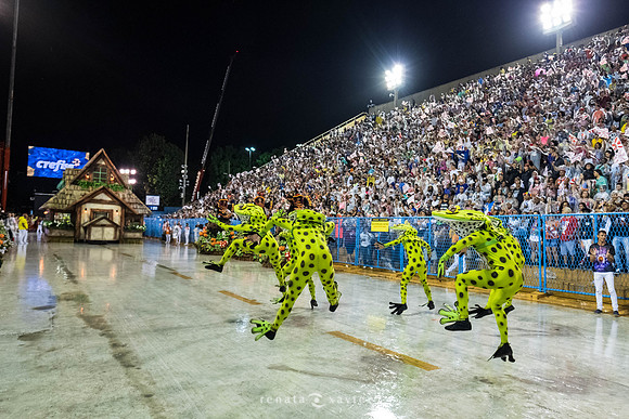 1324_Desfile Viradouro 2019_Fotógrafos Renata Xavier e Leandro Lucas