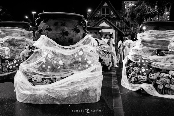 0025_Desfile Viradouro 2019_Fotógrafos Renata Xavier e Leandro Lucas