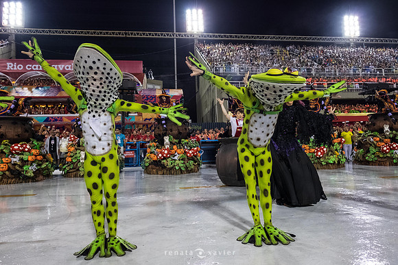 1411_Desfile Viradouro 2019_Fotógrafos Renata Xavier e Leandro Lucas