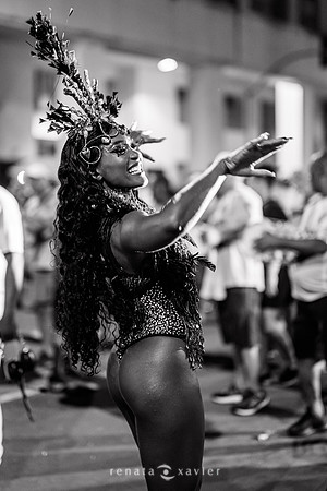 0766_Ensaio_de_Rua_Viradouro_09.02.25_Renata_Xavier_Fotografia_DSC_0993