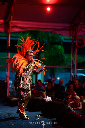 0068_Desfile Viradouro Cidade do Samba_Renata Xavier Fotografia_DSC_1892