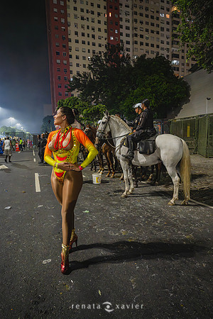 0019_Desfile das Campeãs Viradouro 2024_Renata Xavier Fotografia_Z7N_8287_PB