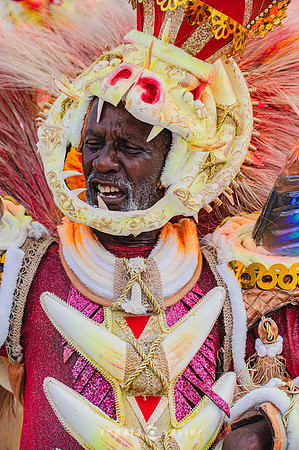 1759_Desfile das Campeãs Viradouro 2024_Renata Xavier Fotografia_DSC_8779_PB