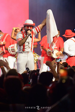 0248_Desfile Viradouro Cidade do Samba_Renata Xavier Fotografia__LEA6213