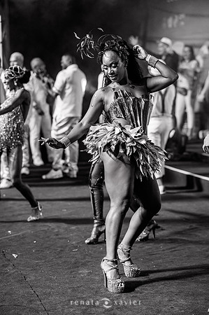 0165_Desfile Viradouro Cidade do Samba_Renata Xavier Fotografia_DSC_1915