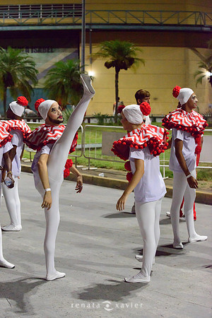 0038_Desfile Viradouro Cidade do Samba_Renata Xavier Fotografia__LEA6019
