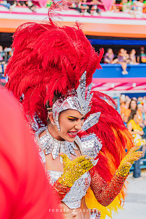2666_Desfile das Campeãs Viradouro 2024_Renata Xavier Fotografia_DSC_9500_PB