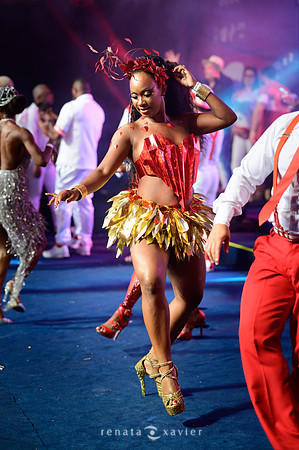 0168_Desfile Viradouro Cidade do Samba_Renata Xavier Fotografia_DSC_1916