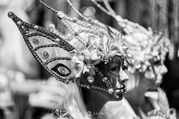 0043_Desfile Viradouro 2019_Fotógrafos Renata Xavier e Leandro Lucas
