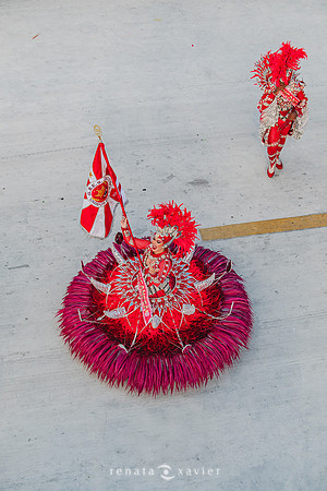 2958_Desfile das Campeãs Viradouro 2024_Renata Xavier Fotografia_DSC_9844_PB