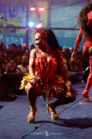 0212_Desfile Viradouro Cidade do Samba_Renata Xavier Fotografia_DSC_1934