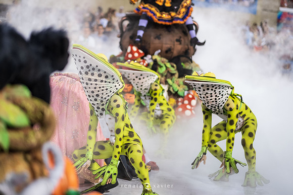 1453_Desfile Viradouro 2019_Fotógrafos Renata Xavier e Leandro Lucas
