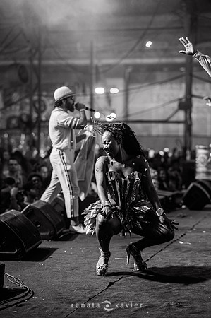 0213_Desfile Viradouro Cidade do Samba_Renata Xavier Fotografia_DSC_1935