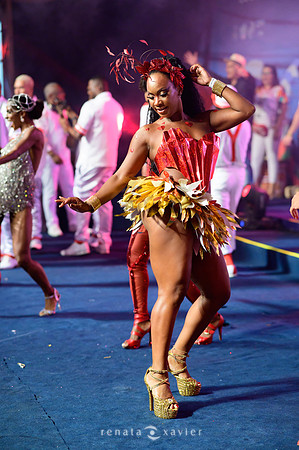 0166_Desfile Viradouro Cidade do Samba_Renata Xavier Fotografia_DSC_1915