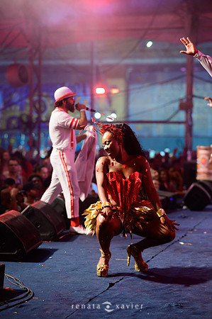 0214_Desfile Viradouro Cidade do Samba_Renata Xavier Fotografia_DSC_1935