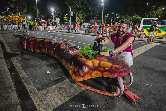 0037_Ensaio_Sambodromo_13.02.25_Renata_Xavier_Fotografia_Z7N_3684